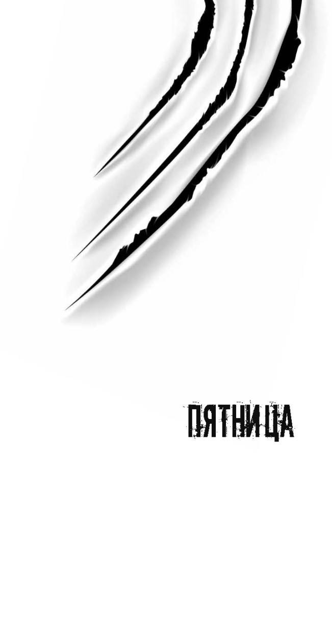 Лес нас найдет