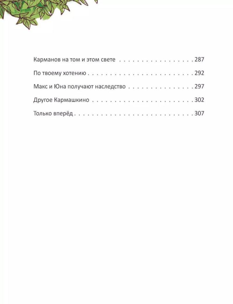 Приключения в Кармашкино