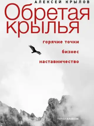 Обретая крылья. Горячие точки - бизнес - наставничество